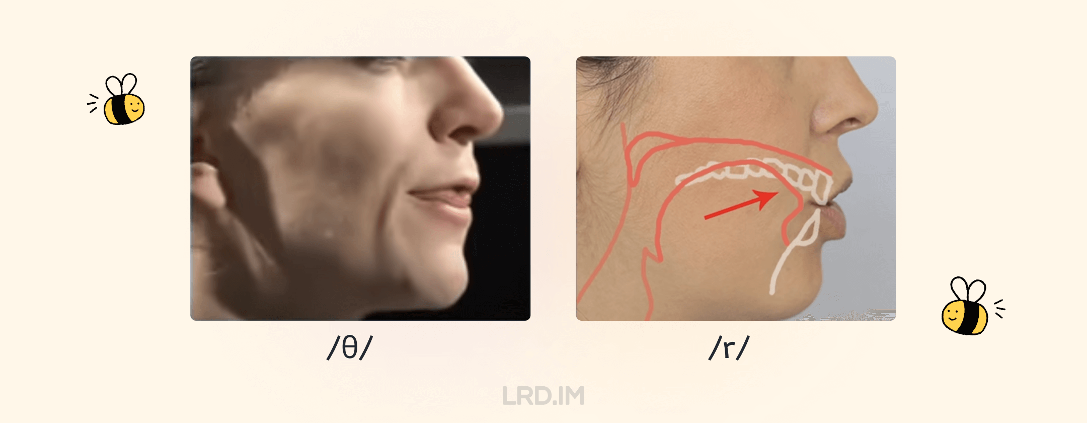 Tongue Position of /θ/ and /r/